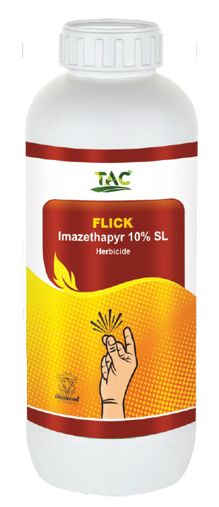 MIKNOVA