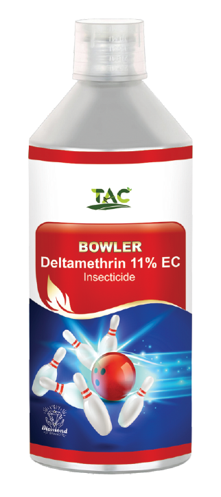 bowler