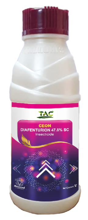 ceon